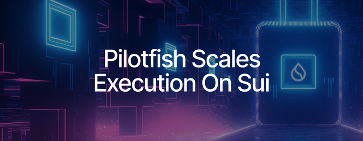 Scaling Out Sui Execution with Pilotfish